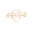 Antigua Events and Decor logo
